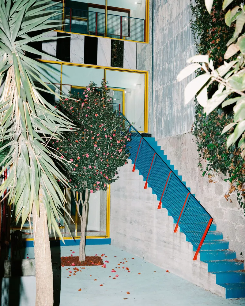 Blue cantilevered exterior stair with red-edged mesh balustrade rising past a flowering tree and concrete wall