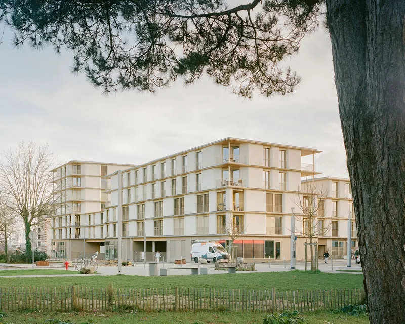 Corner facade with timber frame balconies framed by a large pine in winter light