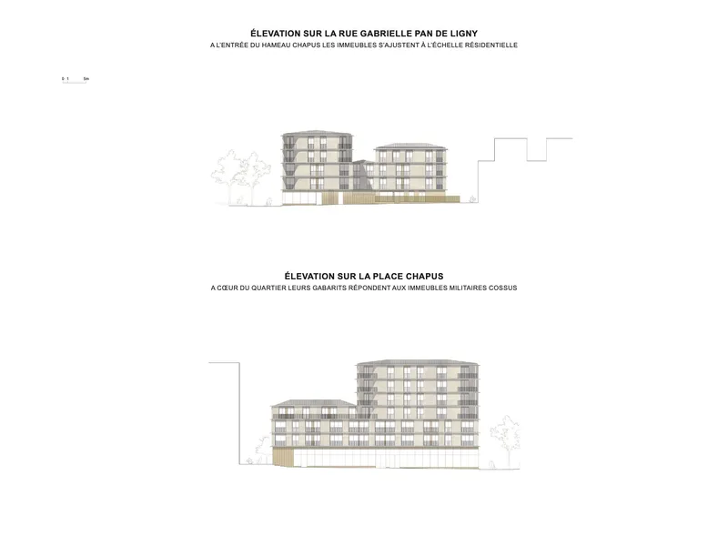 Elevation drawings depicting residential blocks with gridded facades and ground floor timber cladding from two street perspectives