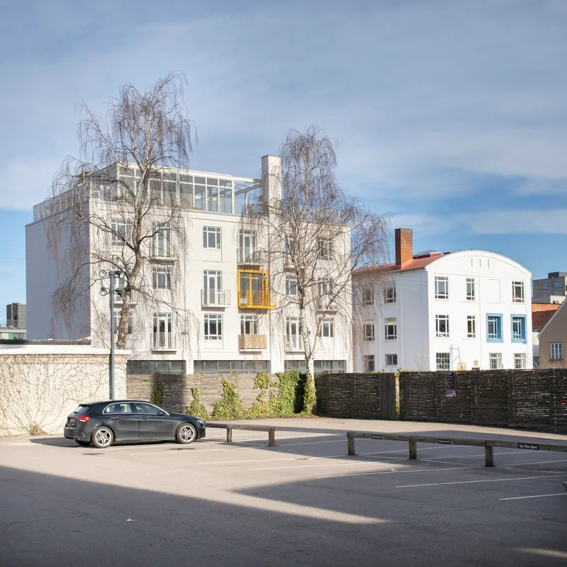 Rear elevation showing white facade volumes with bare winter trees and parked car in foreground