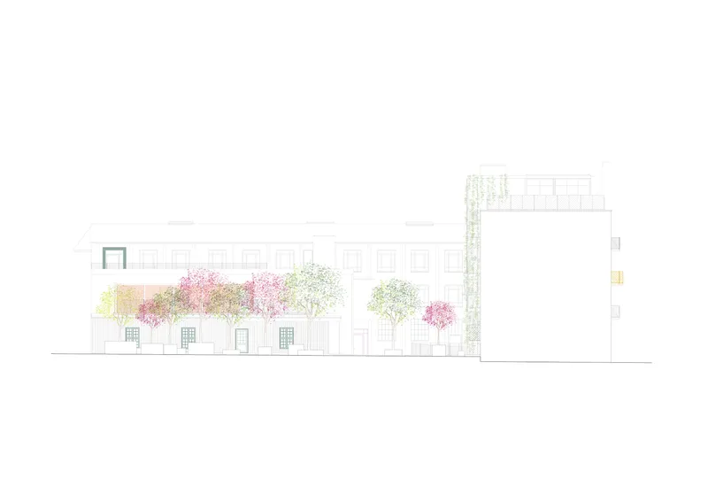 Elevation drawing of a facade with row of flowering trees in pink and yellow