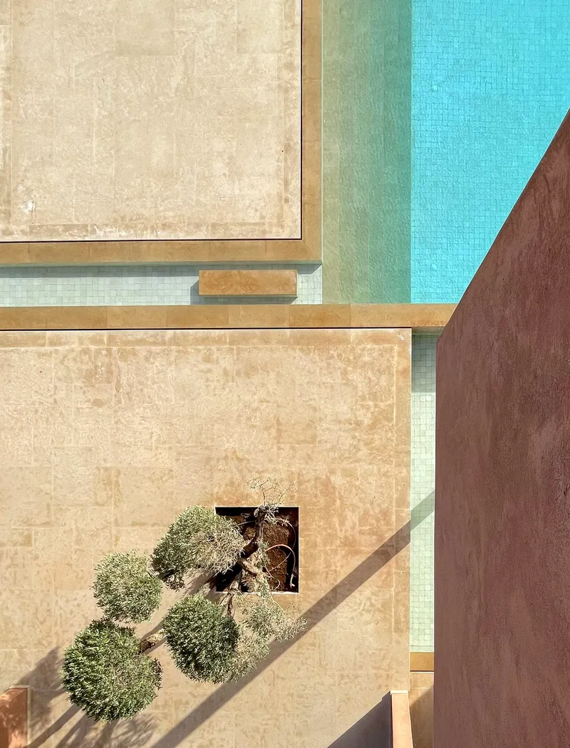 Overhead view of a courtyard with stone paving and three potted olive trees casting shadows