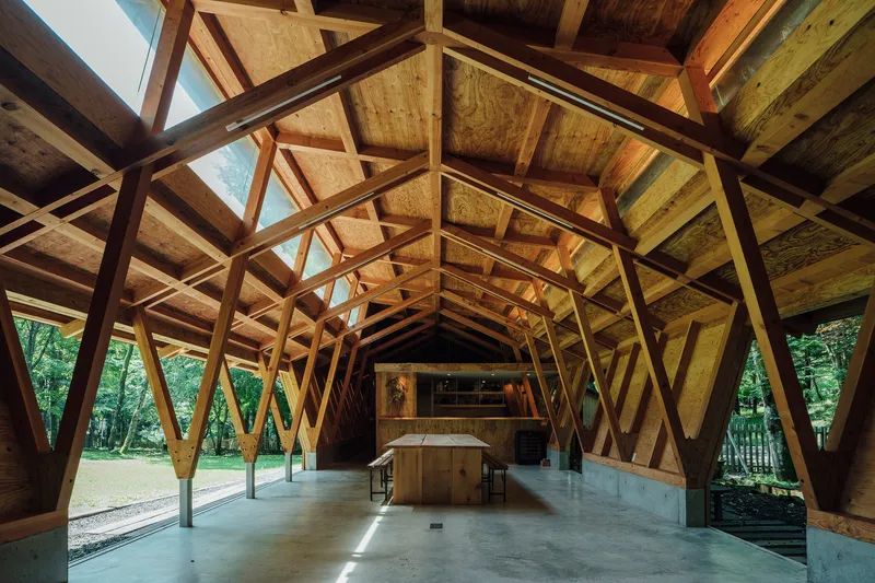 Interior view of the exposed timber frame structure with diagonal bracing and plywood sheathing under skylights