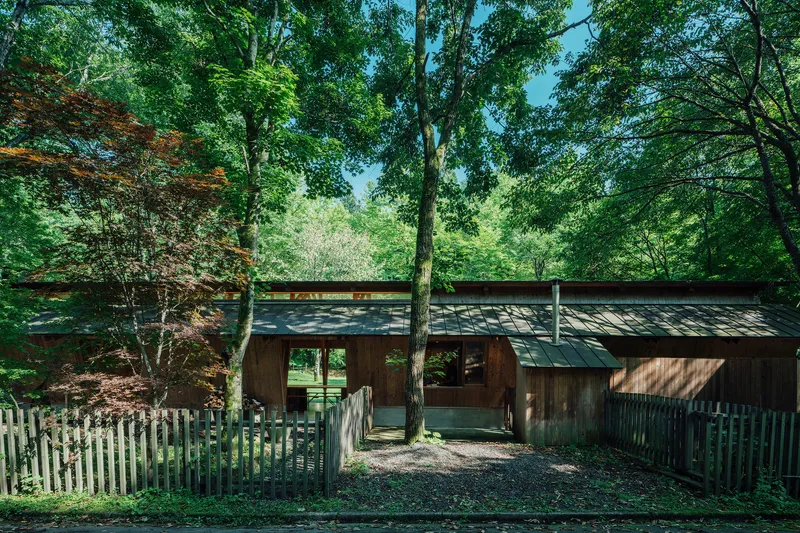 Entry courtyard with metal roof volumes and diagonal timber supports between birch trees and split-rail fence