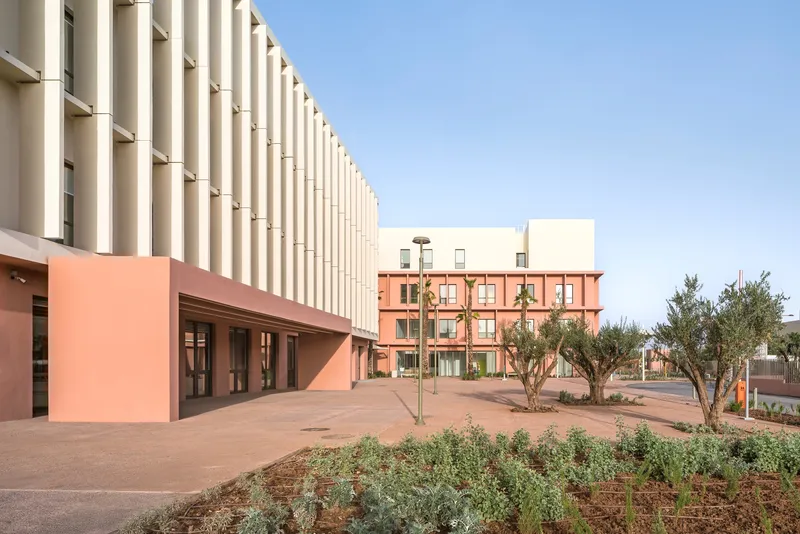 Campus view showing the cream vertical fin facade beside terracotta buildings and newly planted olive trees