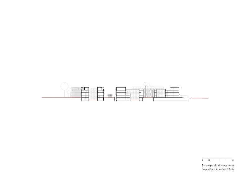 Section drawing showing multiple building volumes of varying heights along a horizontal datum line