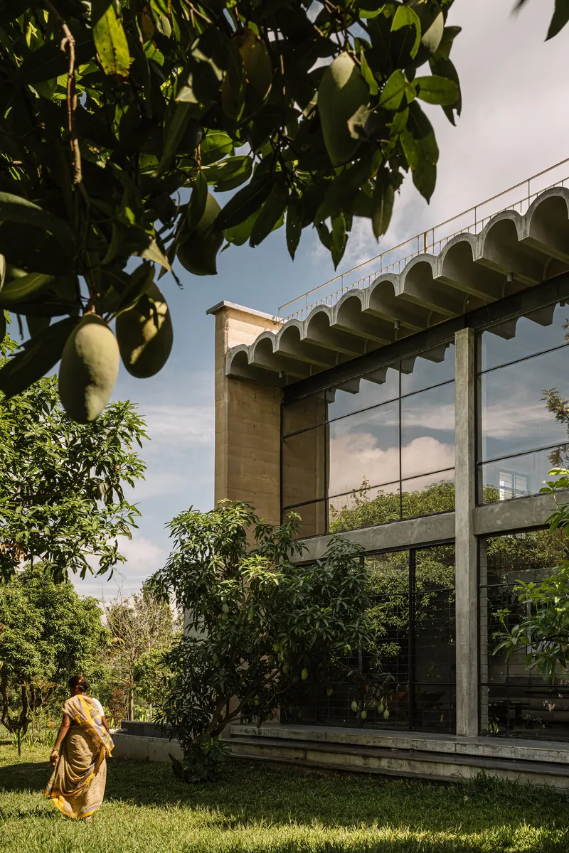 Glass-walled pavilion with scalloped concrete canopy framed by mango tree branches and a figure in yellow