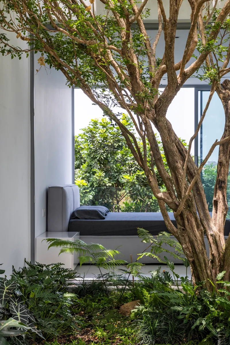 View through courtyard vegetation toward a recessed bedroom window framed by white walls