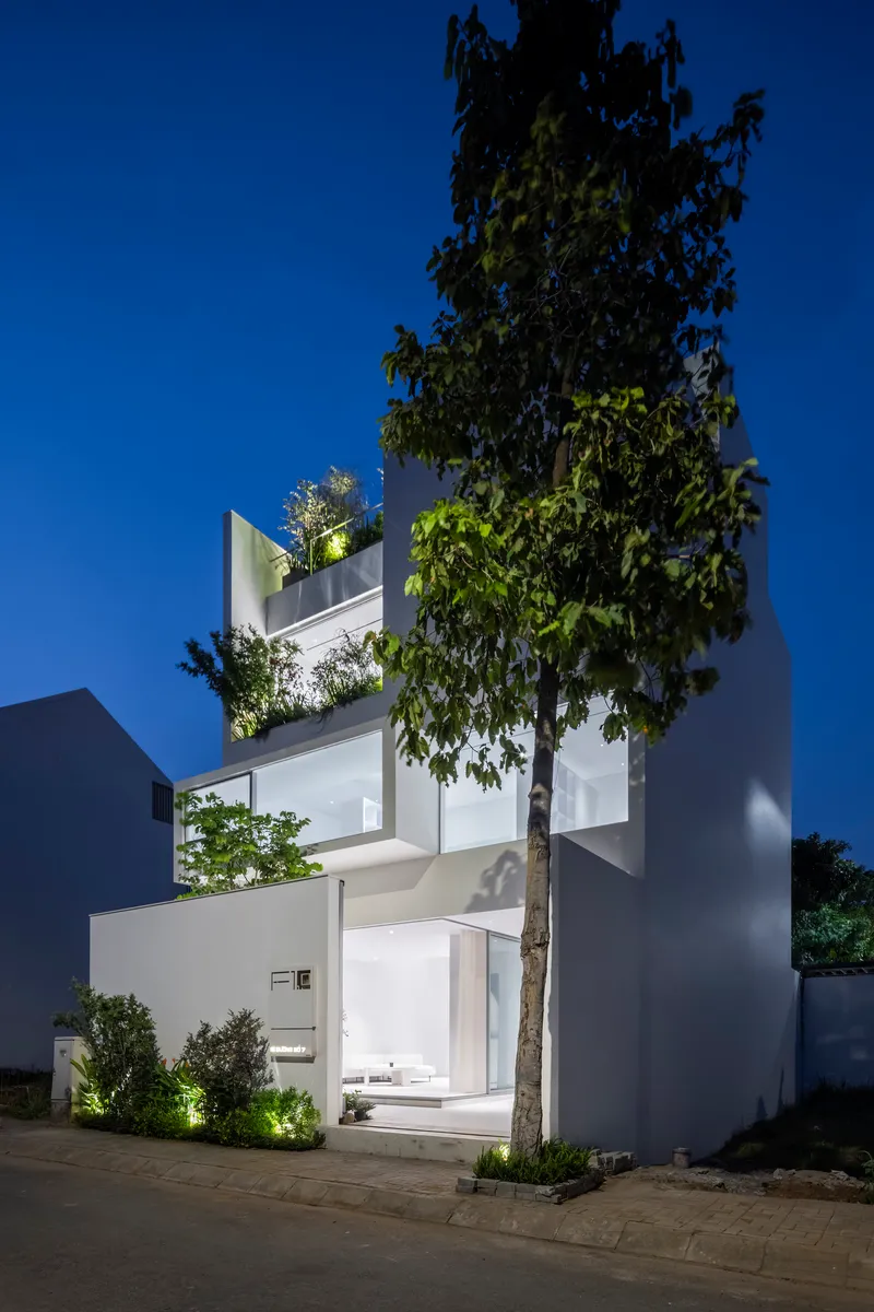 Street view at night with a mature tree framing the white facade and glowing interior spaces
