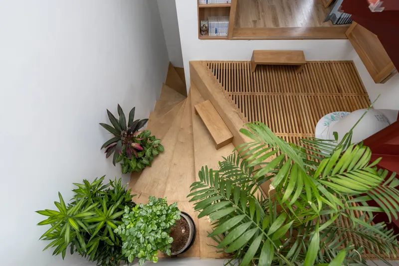Top-down view of timber slatted floor platform surrounded by potted plants in white-walled interior