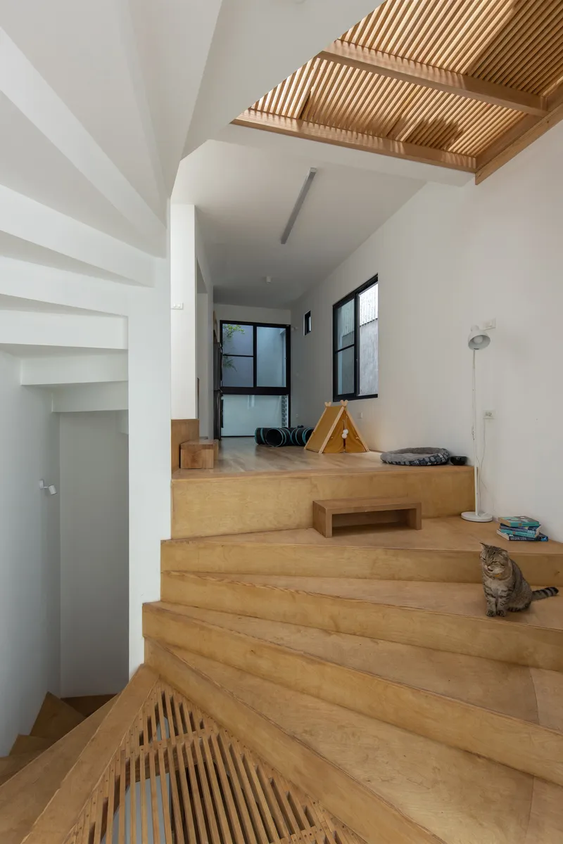 Timber staircase with wide treads and slatted ceiling panel overhead leading to upper level