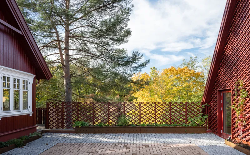 Courtyard view through diagonal lattice screen with autumn foliage and pine tree beyond