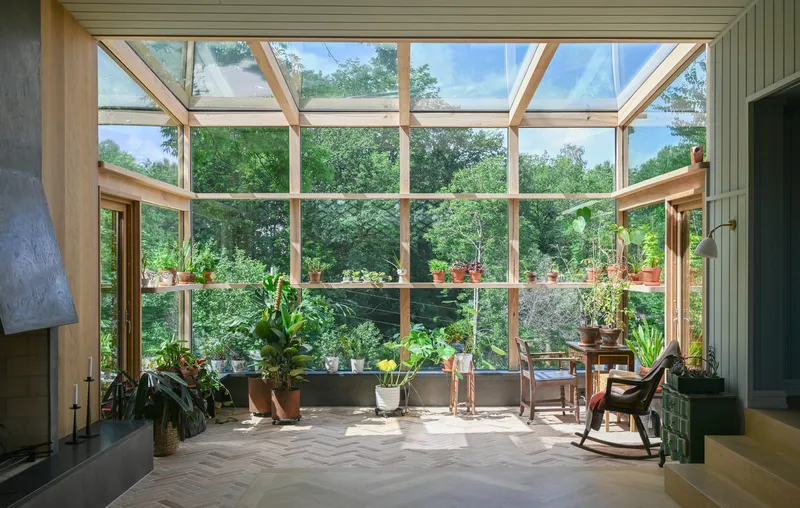 Sunroom with timber framed glazing, shelved potted plants and herringbone flooring in afternoon light