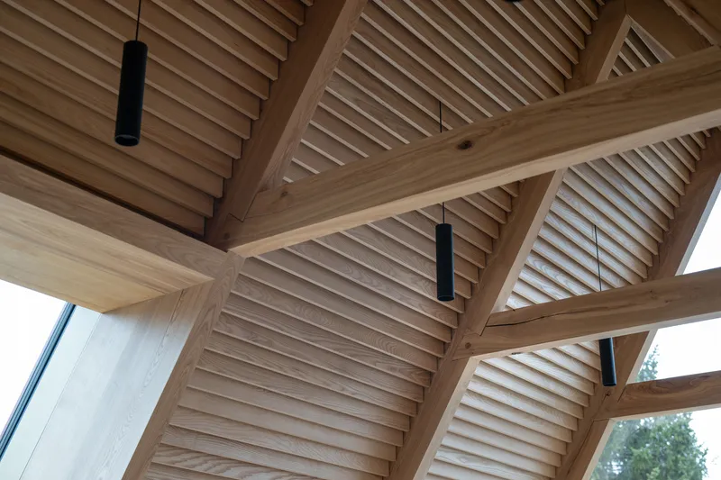 Vaulted ceiling with exposed timber beams and horizontal slat infill panels in natural light