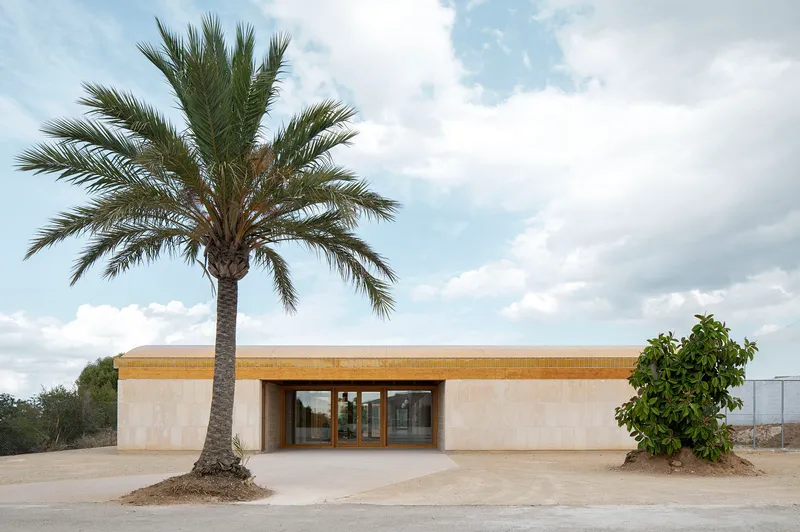 Entrance facade with timber banding above pale tile walls flanked by a palm tree and citrus tree