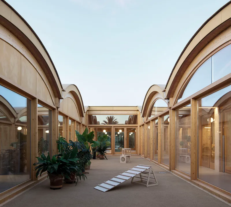 Glazed courtyard with curved timber roof forms and potted plants at dusk