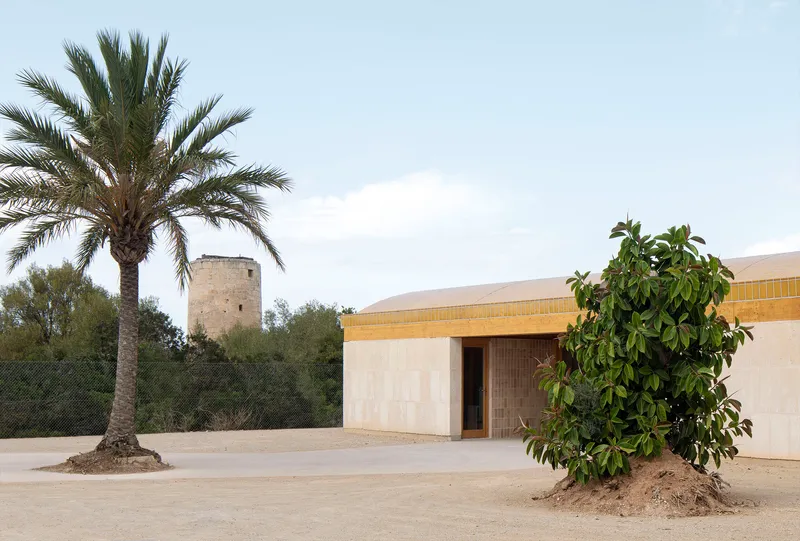 Entry facade with curved roof, timber doorway, palm tree and citrus tree on sandy ground