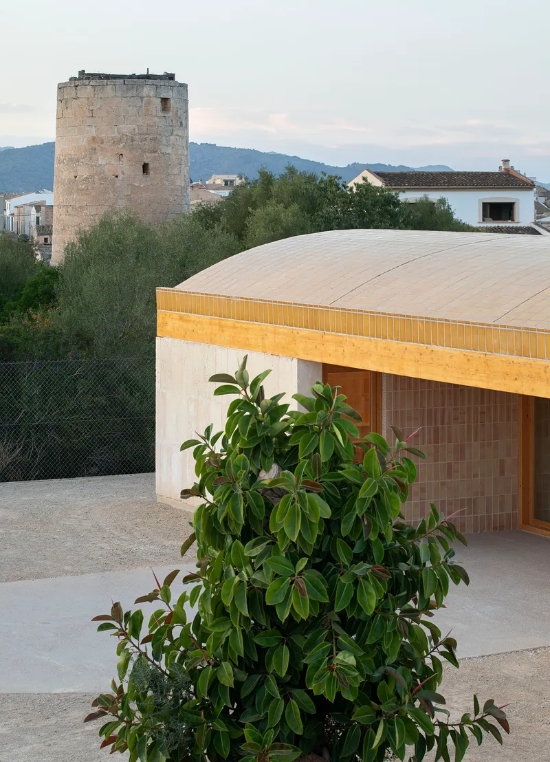 Curved timber roof and concrete terrace with a potted plant and historic stone tower in the background