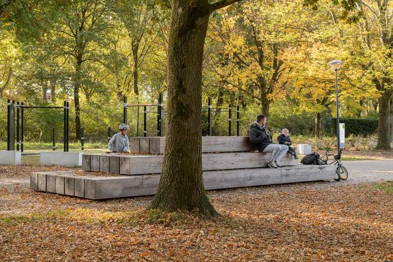 Stepped timber seating platform wrapping around a mature tree surrounded by fallen leaves