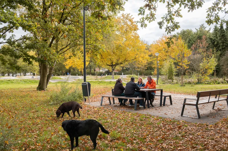 Timber picnic tables and benches in a park clearing with dogs and autumn foliage