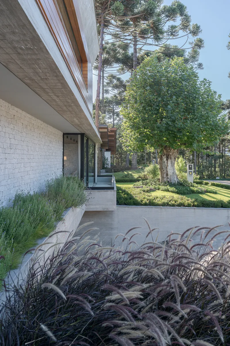 White brick facade with timber soffit above planted beds of ornamental grasses and pine trees