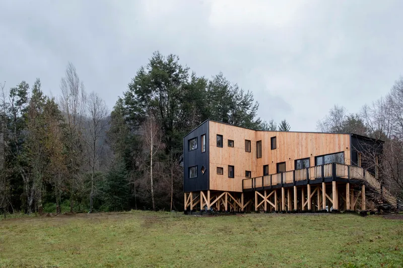 Elevated structure with contrasting dark and light timber cladding on diagonal timber stilts in grassy clearing