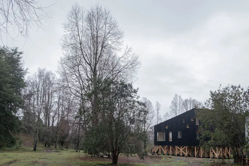 Black corrugated metal volume on exposed timber stilts among bare deciduous trees under overcast sky