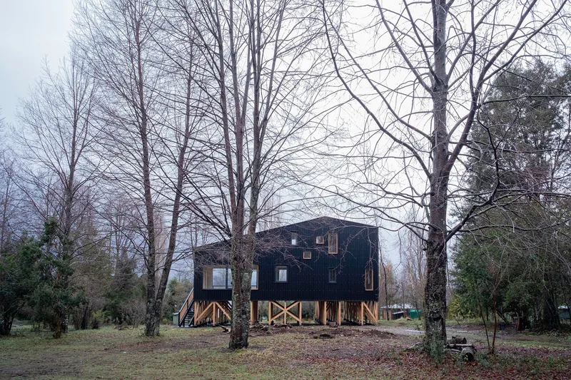 Dark corrugated structure elevated on timber stilts among bare winter trees under overcast sky
