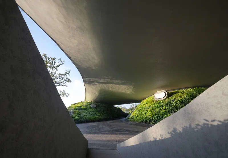 View upward through the curving concrete underside of the cantilevered roof toward the planted slope