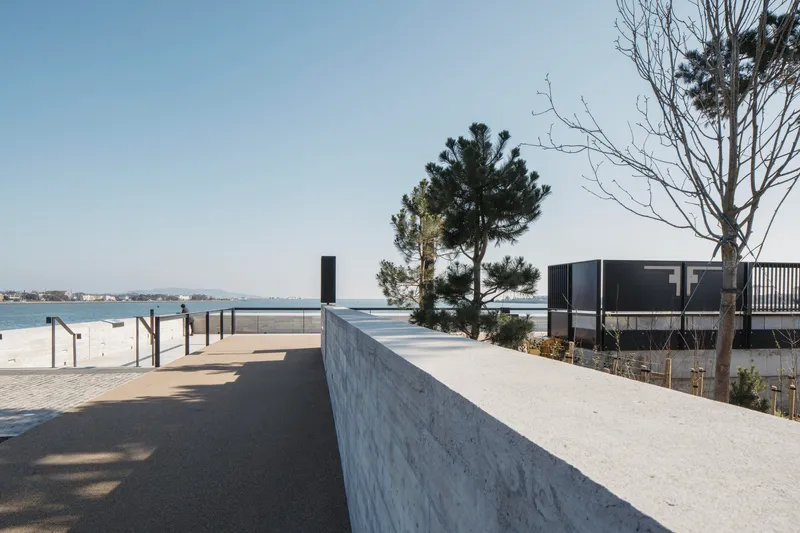 Concrete retaining wall with pine trees along a paved waterfront promenade under clear blue sky