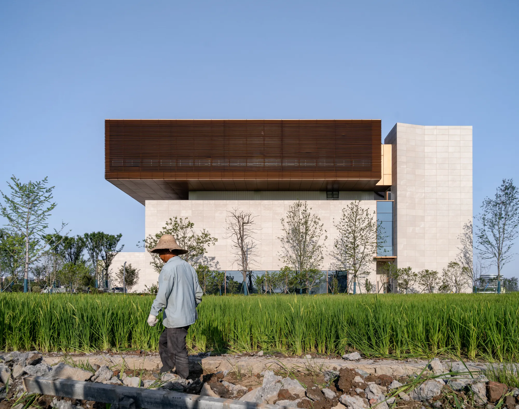 Sens Architects Floats a Bronze Volume Over Rice Fields in Jiaxing's Flower Industry Park