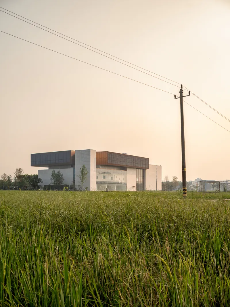 Long view across green rice fields with overhead power lines and hazy sunset sky