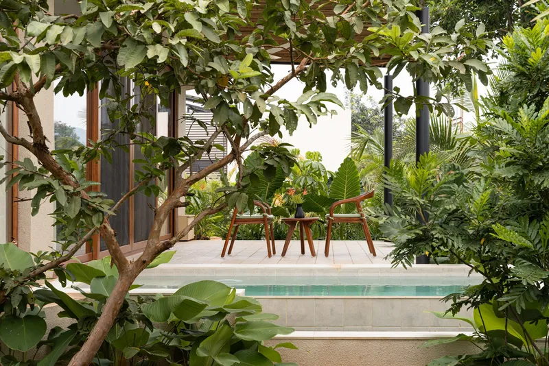 View through lush tropical plantings to a terrace with timber furniture and raised pool edge