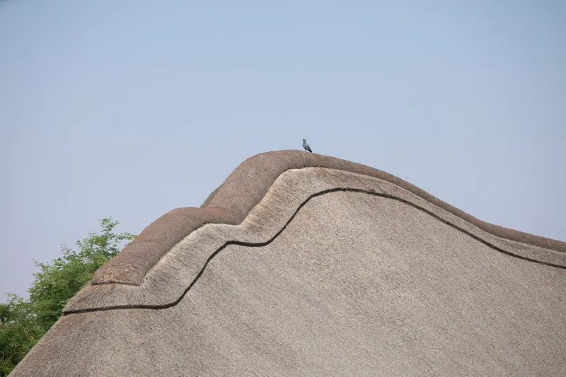 Close-up of undulating thatched roof ridge with a bird perched at the peak