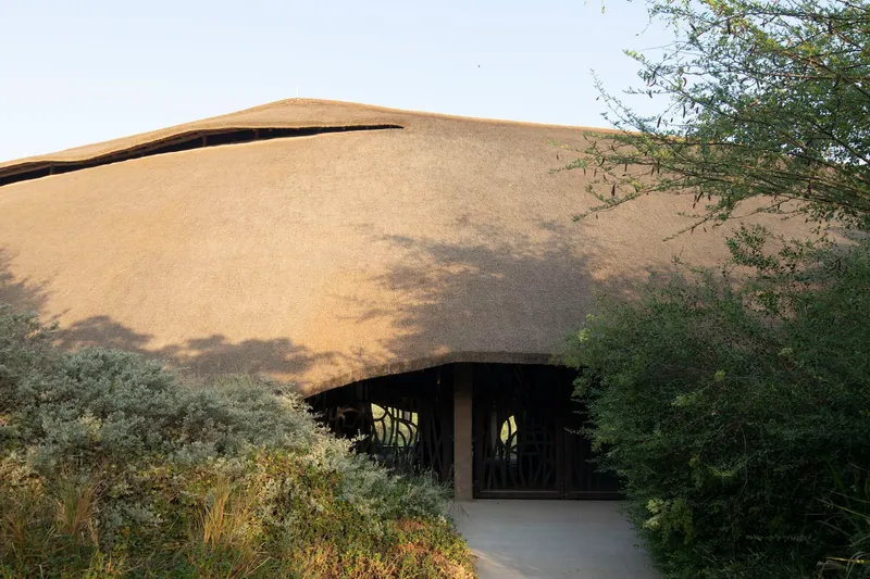Curved thatched roof extending over an entrance pathway framed by indigenous vegetation