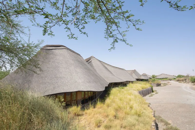 Series of thatched pavilions with glass walls along a pathway edged with ornamental grasses