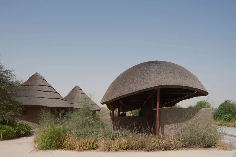 Group of thatched dome and conical roof pavilions surrounded by native grasses under clear sky