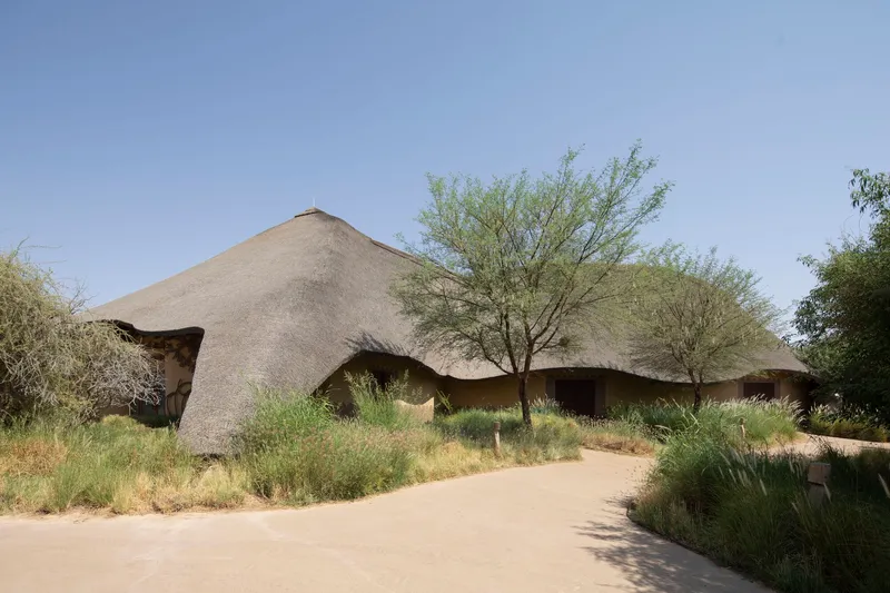 Sweeping thatched roof with curved eaves framed by acacia trees and ornamental grasses