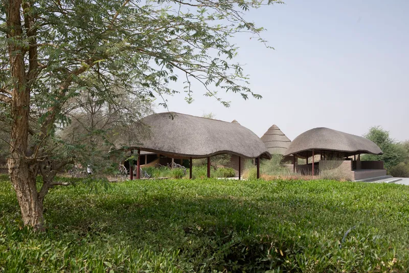 Multiple thatched roof volumes of varying heights nestled among trees and grassy vegetation
