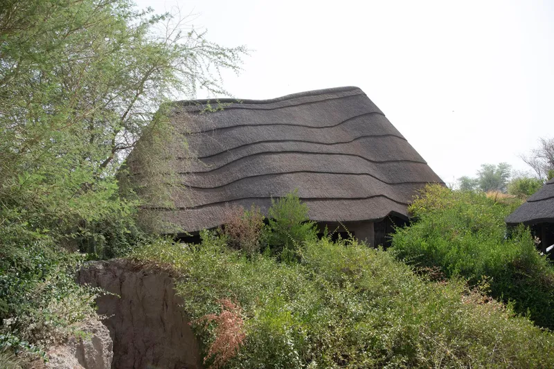 Close view of the layered thatched roof with horizontal ridges rising above dense surrounding vegetation