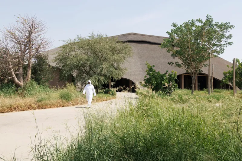 Curved thatched roof volume with open arched openings approached by a figure in white along a pathway