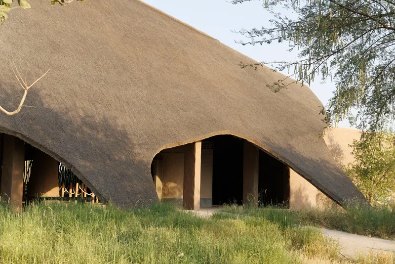 Swooping thatched roof edge with arched openings set into a grassy slope at golden hour