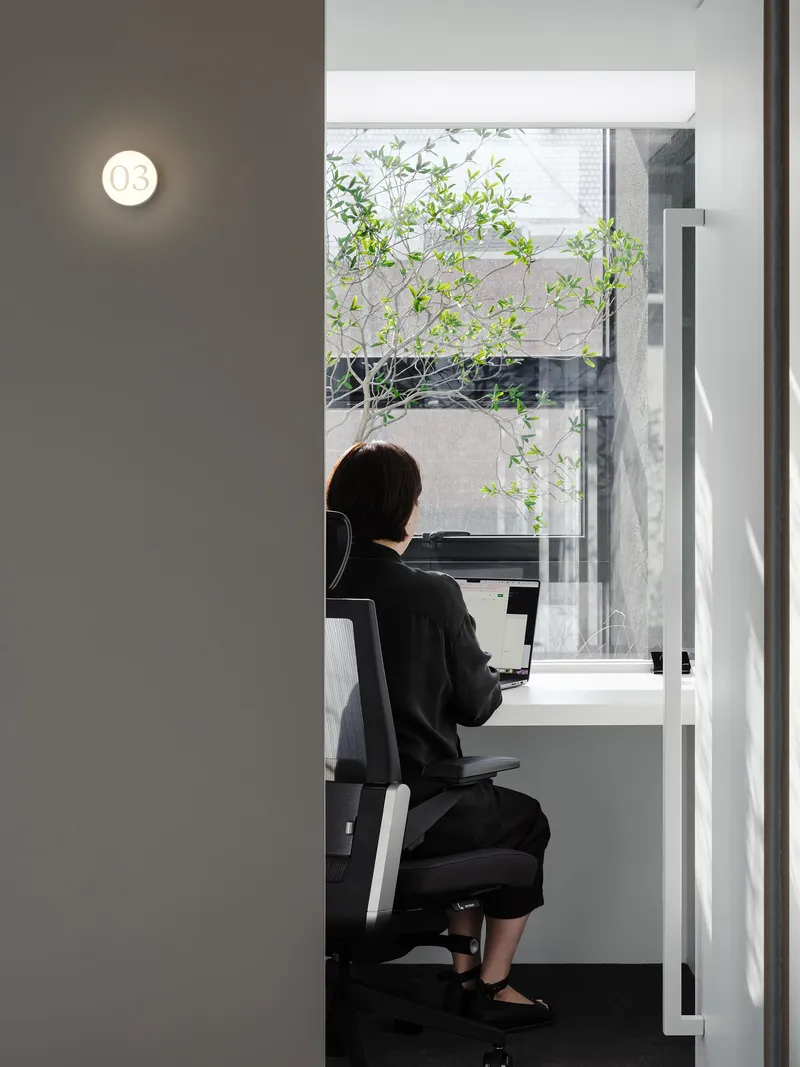 Person seated at a white desk facing a window with a green tree visible outside