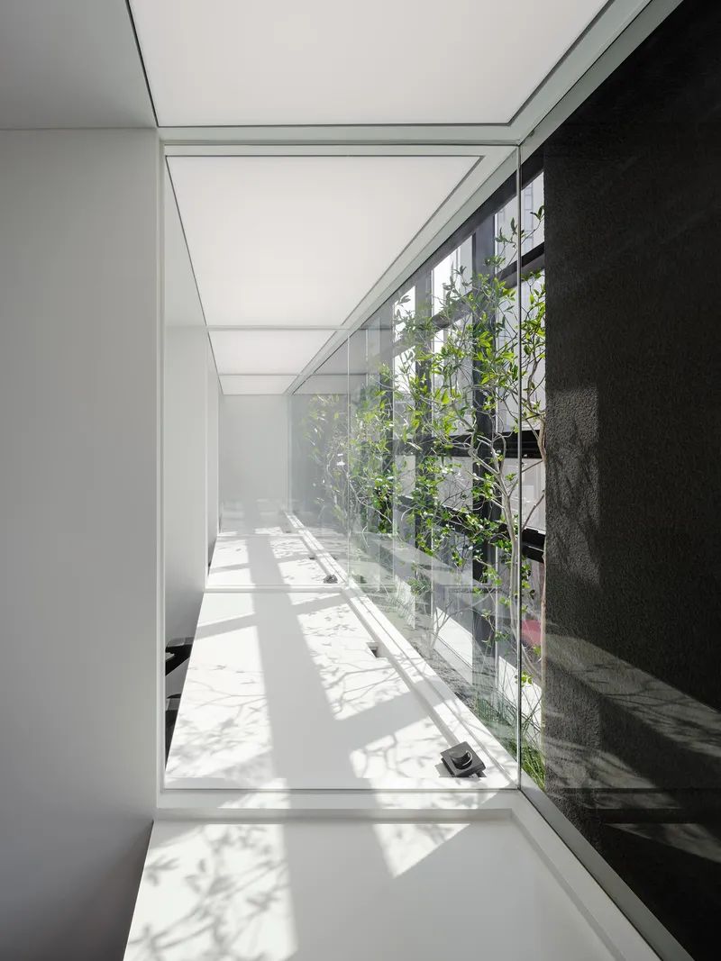 Corridor with floor-to-ceiling glass panels revealing a planted courtyard and dappled sunlight shadows