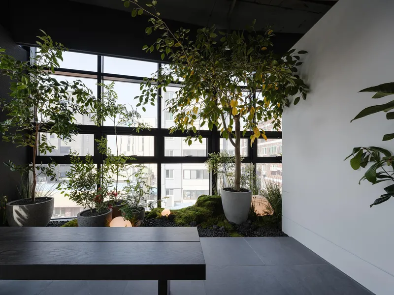 Interior planted bed with potted trees and grasses beside black-framed windows overlooking the street
