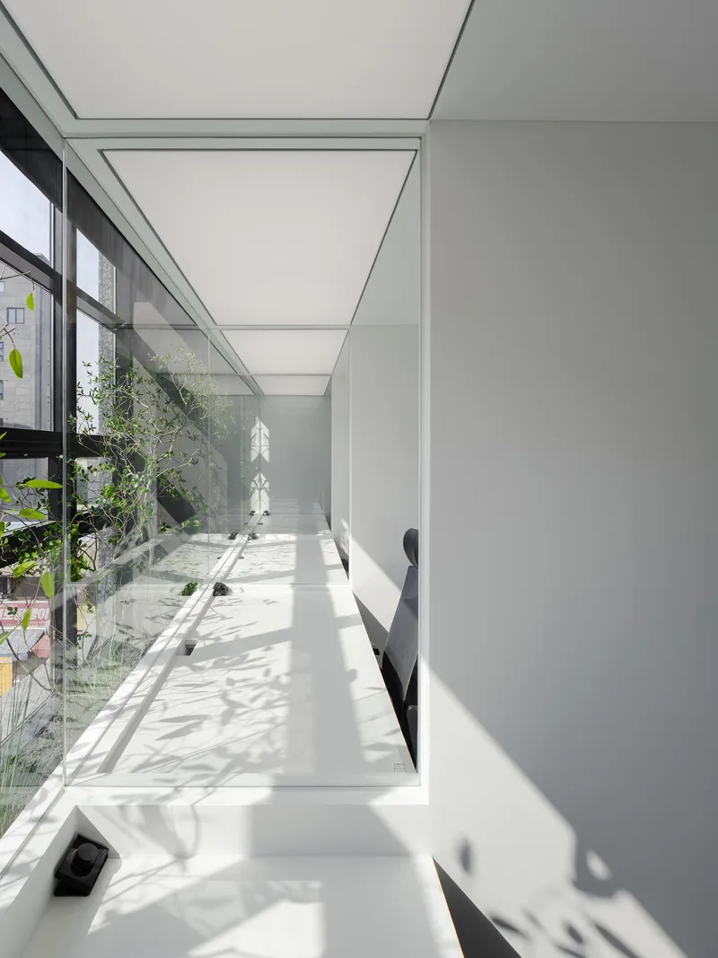 White workspace table alongside planted glazing with dappled sunlight filtering through tree branches