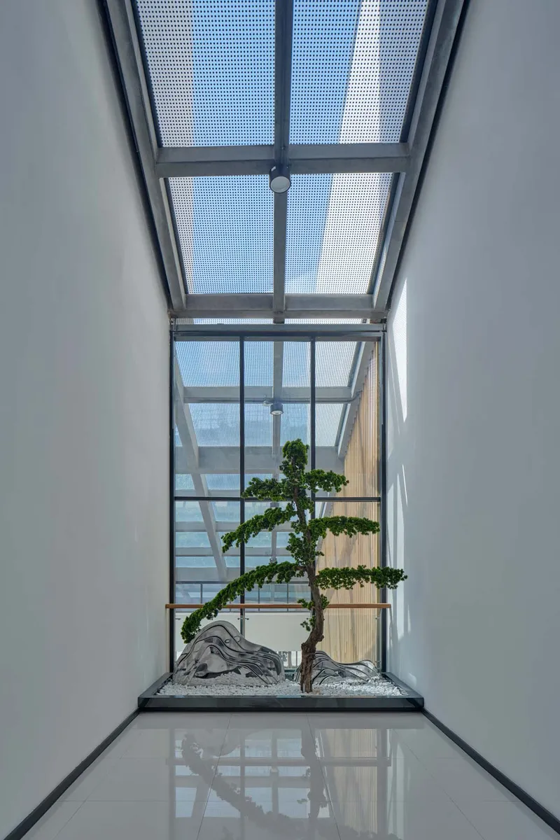 Interior courtyard with a skylight above a bonsai tree on a reflective white floor