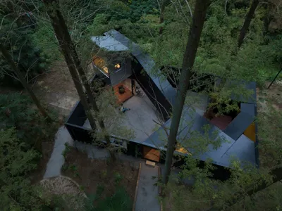 Wiki World and Advanced Architecture Lab Fold a Cabin into a Metasequoia Forest Without Touching the Ground