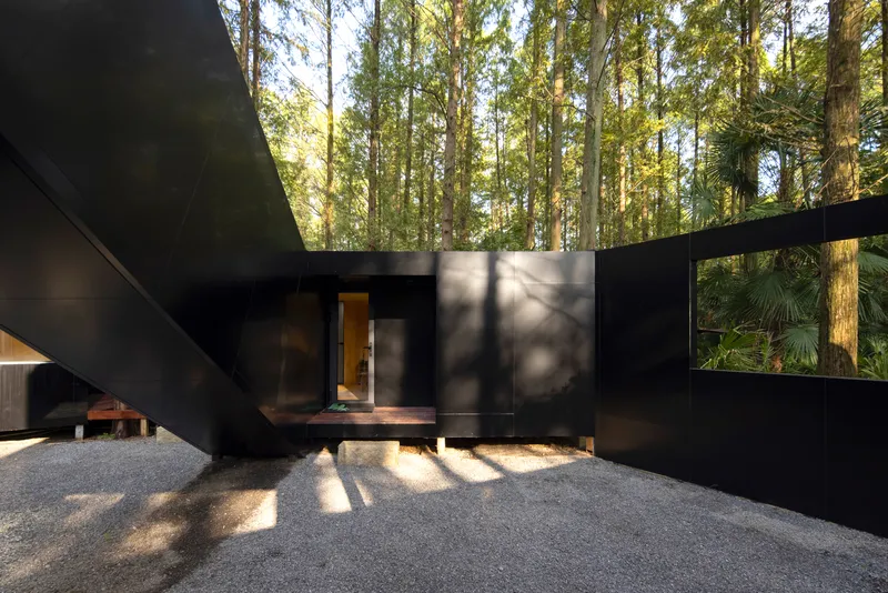 Entry view showing the black metal volume with timber door framed by dappled morning sunlight