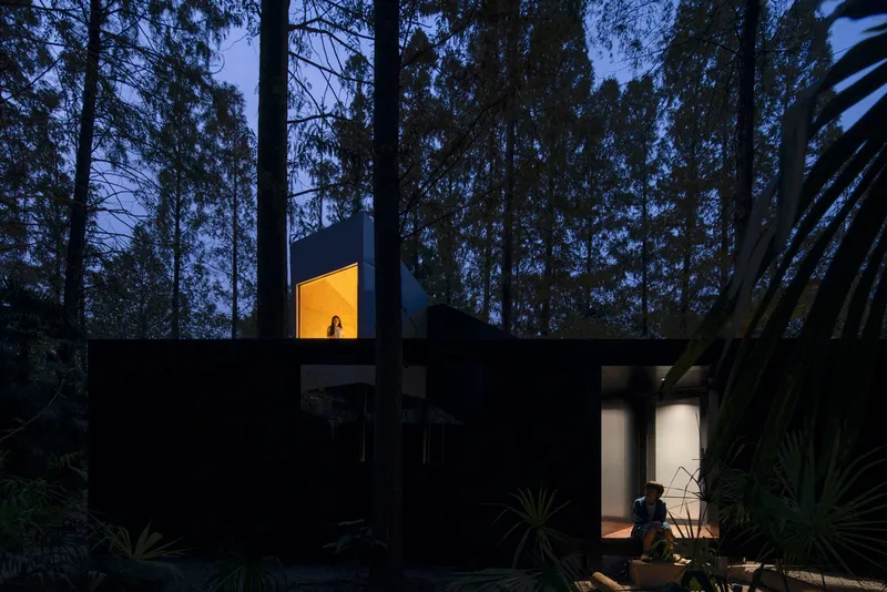 Black metal-clad facade with illuminated openings at dusk among dense pine trees